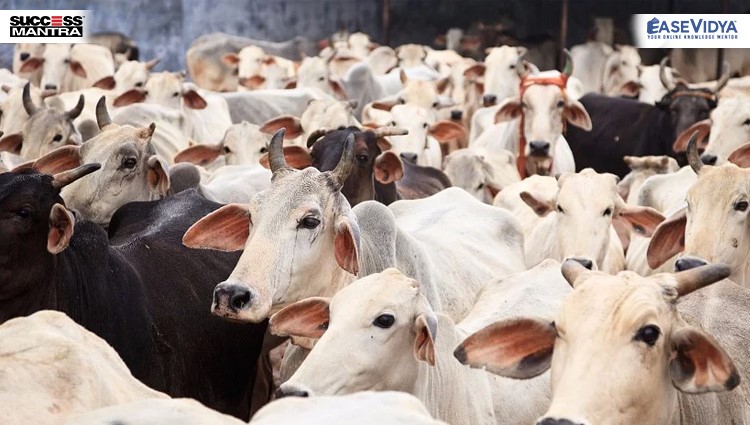 Karnataka Anti-Cow Slaughter Legislation