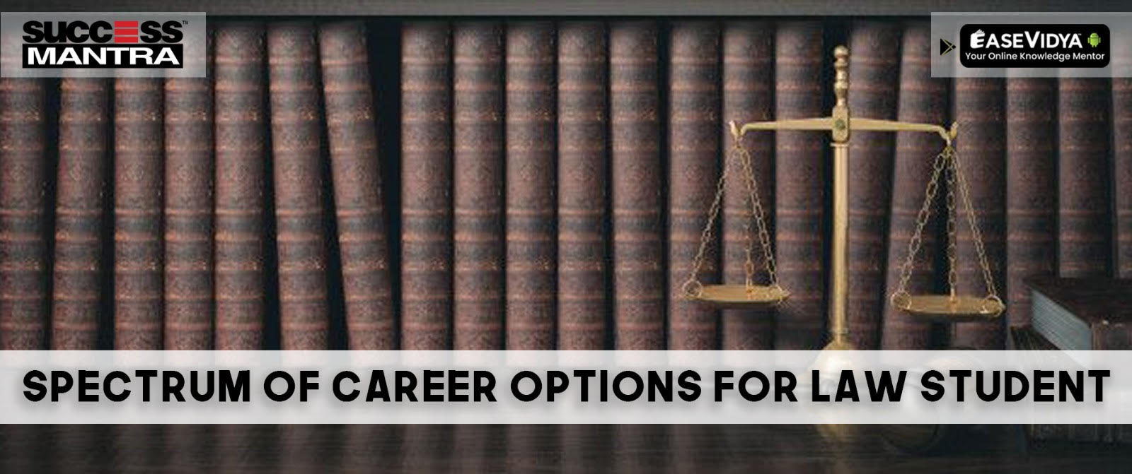 Exploring the Spectrum of Career Options for Law Students