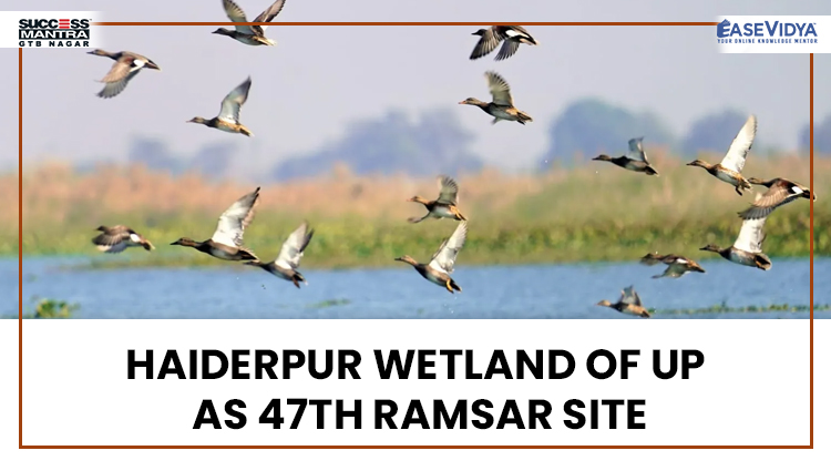 HAIDERPUR WETLAND OF UP AS 47TH RAMSAR SITE, Read daily Article Editorials only on Success Mantra Blog 