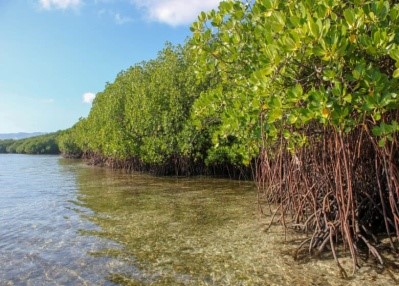 4 NEW WETLANDS ADDED UNDER RAMSAR CONVENTION