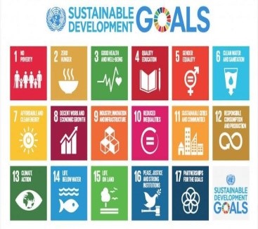 GLOBAL SUSTAINABLE DEVELOPMENT REPORT 2022