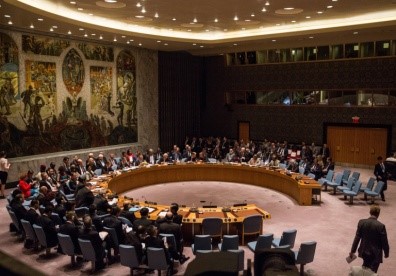 INDIA'S EIGHT POINT ACTION PLAN TO UNSC
