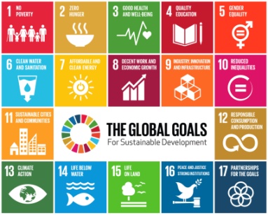 NITI AAYOG RELEASED 3RD SDG INDIA INDEX