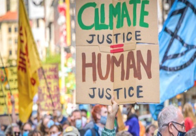NZE ROADMAP 'NET ZERO BY 2050' NZE ROADMAP 'NET ZERO BY 2050'