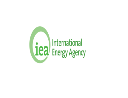 INTERNATIONAL ENERGY AGENCY