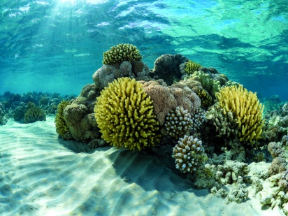 AUSTRALIA'S GREAT BARRIER REEF (UNESCO SITE)